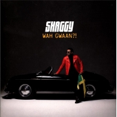 Shaggy ‎– Wah Gwaan?! (2LP,Vinyl,KOLOR)