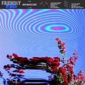Friendly Fires - Inflorescent (LP, Vinyl,180g)