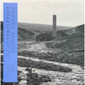 Craven Faults ‎– Enclosures (LP,Vinyl)