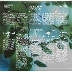 Fleet Foxes - Shore (2LP, Vinyl, Etched,plakat)
